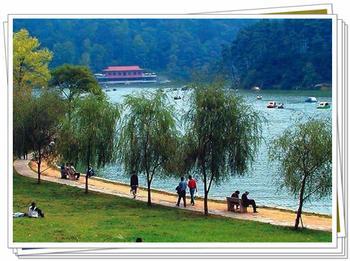 天然大氧吧 天然大氧吧